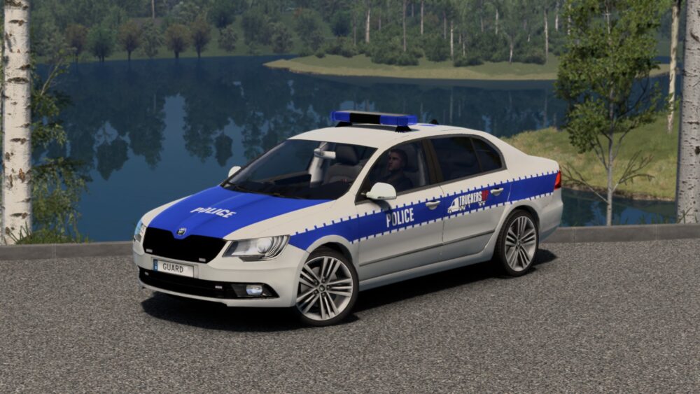 Skoda Admin Skin (Local mod, ALM) TMP